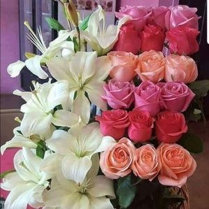 Meet your Posher, Rosa